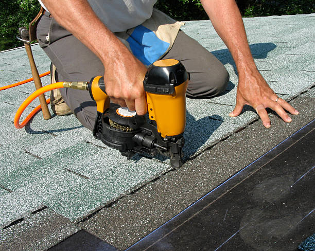 Best Roof Gutter Cleaning  in Centreville, AL