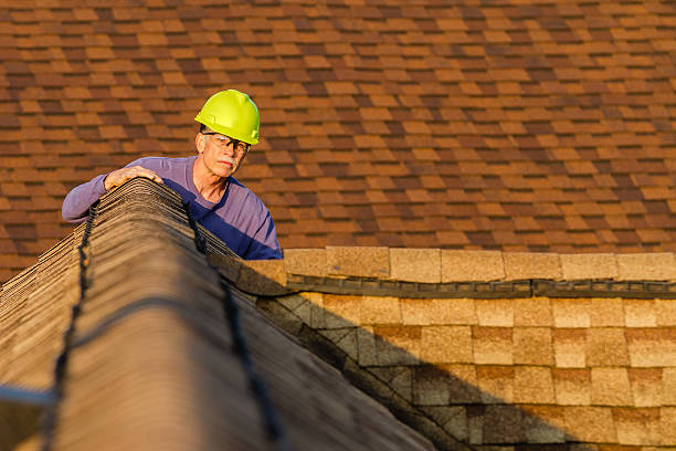 Best Storm Damage Roof Repair  in Centreville, AL